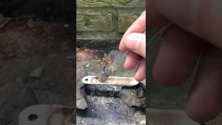 Making wood disappear by some potassium nitrate  #shorts #chemistry