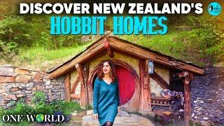 10 Reasons to Visit New Zealand This Spring | One World Ep 06 | Curly Tales