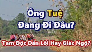 Tam Độc Đã Chiếm Trọn: Ông Tuệ Đang Giác Ngộ Hay Lạc Lối Không Lối Thoát?