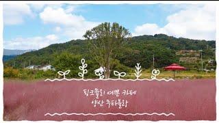 [양산 카페] 핑크뮬리 예쁜 공원같은 무타블랑 ㅣ 가을에 찍고 싶은 인생사진 ㅣ Pinkmuhly l Cafe Muta Blanc