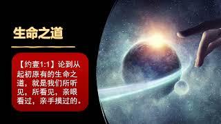 约翰一书01  神就是光     世界的可见性