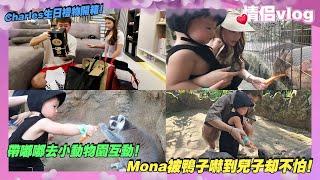 Charles開箱生日禮物！帶嘟嘟去小動物園互動！Mona被鴨子嚇到了可是兒子不怕！