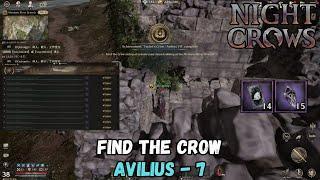 Night Crows - Find The Crow - Avilius 7