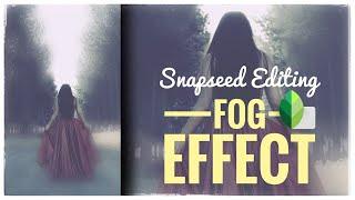 FOG EFFECT Tutorial - Snapseed Mobile App Editing