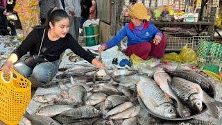 Countryside vlog: Buy river fish from my village market for cooking - Cooking by Sreypov