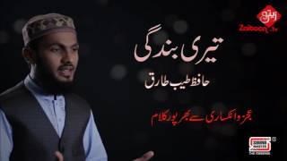 TERI BANDAGI a heart touching nasheed by Hafiz Tayyib Tariq