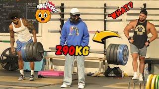 Elite Powerlifter ANATOLY Scared Gym Goers in Gym Prank #2| Anatoly Gym Prank