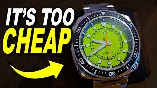 Is This The PERFECT Budget Dive Watch?