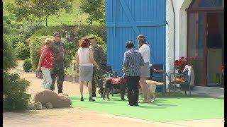 Projekt mit Reha-Hunden für traumatisierte Soldaten vorgestellt