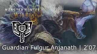 [ MHWilds ] Guardian Fulgur Anjanath | Charge Blade | 2'07"60