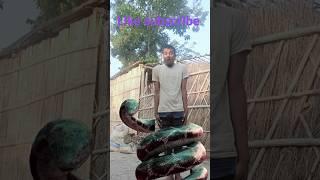 surendra VsAnacondaAttack -VfxDangerous Video #shorts #viral#vfx420#funny #shotr#short_videos_930