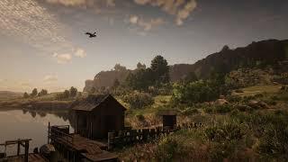 Ambient Red Dead Redemption 2 - San Luis River 2