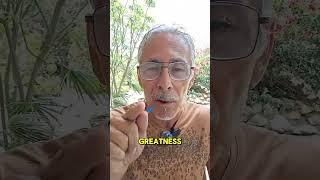 STEP INTO YOUR GREATNESS - FINANCIALLY #journaling #personaldevelopment ##networkmarketing