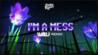 BEBE REXHA - I'M A MESS (DJ WALU 2024 REMIX)