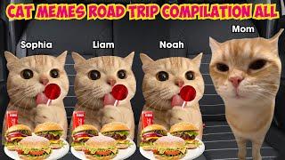 Cat MEMES Road Trip Compilation ALL