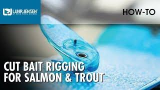 Luhr Jensen Cut Bait Rigging for Salmon & Trout | Luhr Jensen Fishing Tips