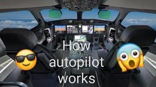 How autopilot works. ️ #autopilot #youtube #youtubevideo #science