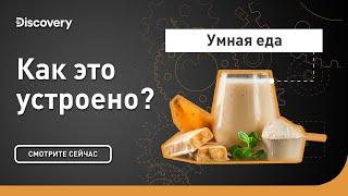 Умная еда | Как это устроено? | Discovery