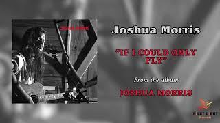 If I Could Only Fly - Joshua Morris