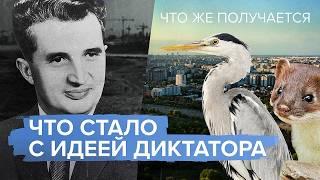 Неожиданное наследство Чаушеску: как в центре Бухареста поселились ласки и аисты | ЧТО ЖЕ ПОЛУЧАЕТСЯ