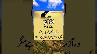 ALLAH Se Muhabbat️ | Quotes | Urdu Quotes | Islamic Quotes | Islamic shorts | Islamic Status |