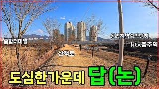 #임광부동산 1257번 도심속 농지매매 #충주시 #칠금동 #논 5.5억