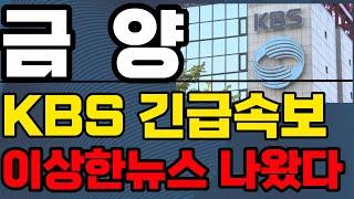 [금양주가전망]-KBS속보 이상한 뉴스 큰일났다!! #금양 #금양주가 #금양주가전망 #박순혁 #기봉이주식 #선대인tv