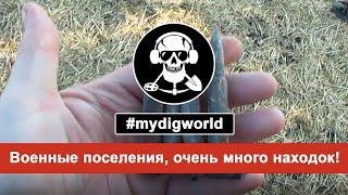 #mydigworld - Военные поселения, очень много находок! / Military settlements, a lot of finds!