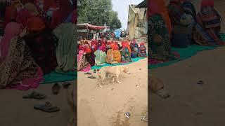 #rajasthani #villagelife #food #vlog #desi #rajasthan #culture #khana #youtubeshorts #roti #bhajan