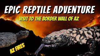 Epic Reptile Adventure - Border of Arizona