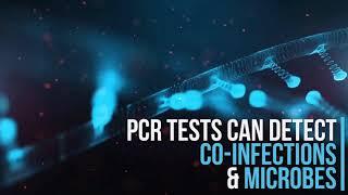 PCR-Dx Diagnostic: Respiratory Panel #Shorts