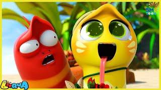 LARVA - taste of love | Cartoon Movie | Cartoons | Comics | Larva Cartoon | LARVA Official