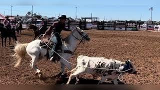 Steer Roping #4