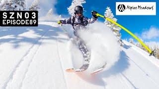 BLUEBIRD POWDER day at ALPINE MEADOWS!