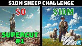 $0 to $158,000 SUPERCUT of the $10 Million Dollar Sheep Challenge!