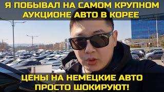 ОБВАЛ ЦЕН НА КОРЕЙСКОМ РЫНКЕ АВТОМОБИЛЕЙ! #автоизкореи #автокорея #экспортавто