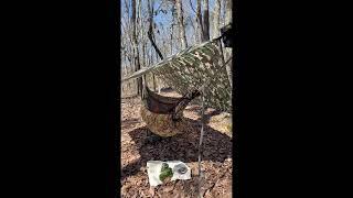 Dispersed/Stealth Camping in the Chattahoochee National Forest #stealthcarcamping #hammocking