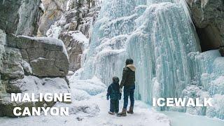 Maligne Canyon Icewalk 2024.01.20 | Jasper | Alberta | Canada