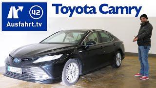 2019 Toyota Camry Hybrid 2.5l VVT-i Executive - Kaufberatung, Test deutsch, Review, Fahrbericht