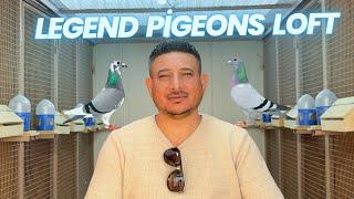 Legend Pigeons Loft