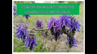 Анализ весеннего развития племенного материала