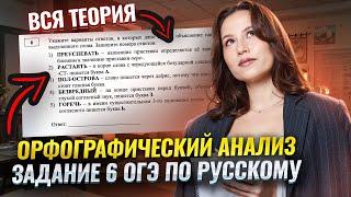 Орфографический анализ: Вся теория по 6 заданию ОГЭ по русскому языку | Умскул