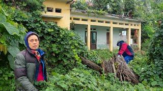 Clean Abandoned House Full transformation Cut overgrown grass to clean the garden - Clean up 91