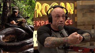 Joe Rogan Giant Anacondas in the Amazon Rainforest with Paul Rosolie