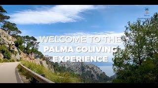 Palma coliving: your next remote work experience