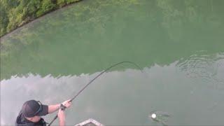 Possible STATE RECORD MUSKY inhales Bait at the Boat - 51" Tennessee River Monster