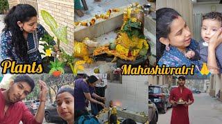 Mahashivratri  We planted plants🪴 #funny #fun #memes #trending #love #video #viralvideo #subscribe