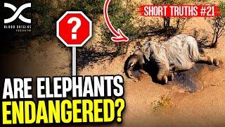 Short Truths #21: Are Elephants Endangered?