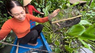 1589 / Thăm lợp cua ngày mưa