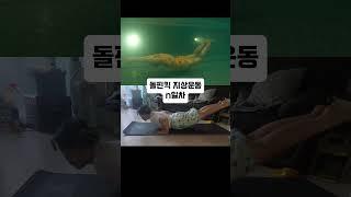 돌핀킥 지상훈련 #swimming #돌핀킥 #접영